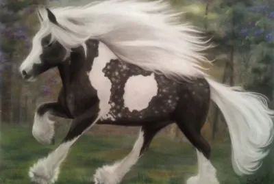 Gypsy vanner jigsaw puzzle