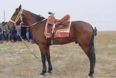 Karabair jigsaw puzzle