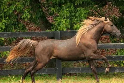 Mountain pleasure jigsaw puzzle