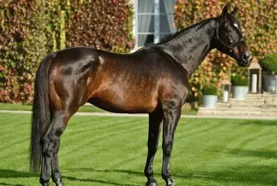 Oldemburg jigsaw puzzle