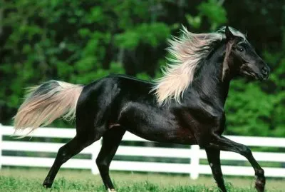 Rocki montain jigsaw puzzle