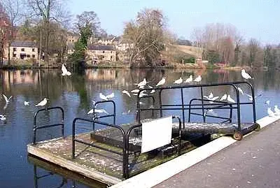 River Derwent at Belper