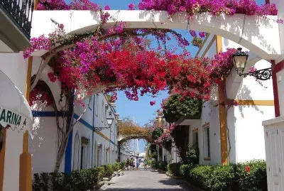 Gran Canaria jigsaw puzzle