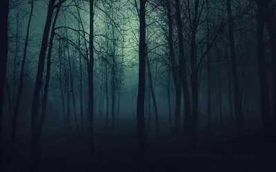 Dark bosque 2
