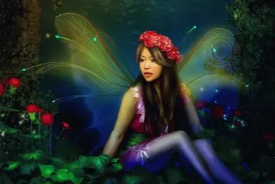 Fairy