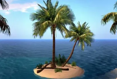 Palmtree