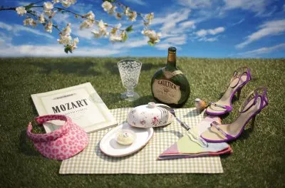 Expensive Magenta Shoes-Still Life jigsaw puzzle