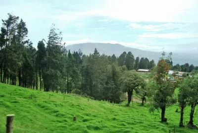 CampiÃ±a de Costa Rica.