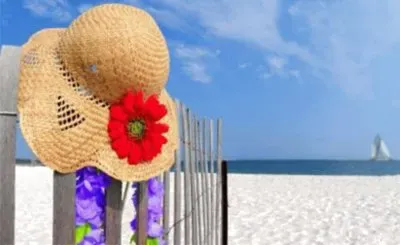 å¤å¤© jigsaw puzzle