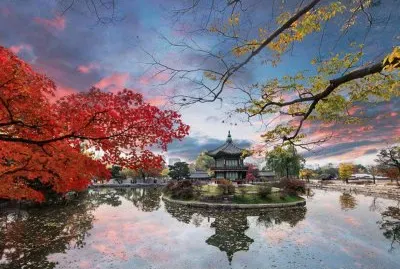 imagem jigsaw puzzle