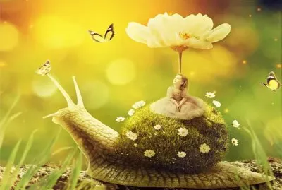 å¤¢å¹»ä¸–ç•Œ