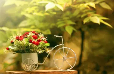 פאזל של å¤¢å¹»ä¸–ç•Œ