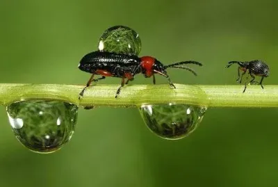 å¾®è·æ¬£è³ž jigsaw puzzle