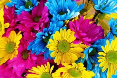 פאזל של è¦–è¦ºé¥—å®´