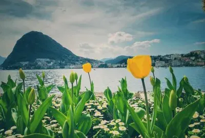 פאזל של Lugano