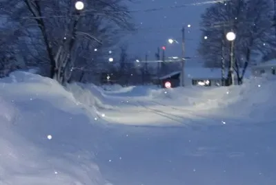 Our street in the evening snow