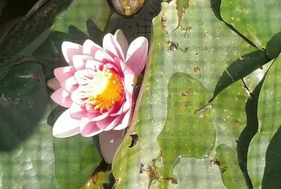 Parco San Grato jigsaw puzzle