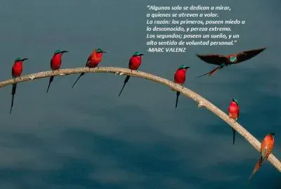 MIrar