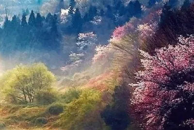 misty morning