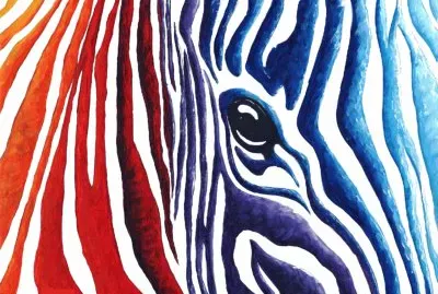 פאזל של æ–‘é¦¬ç´‹