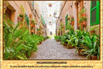 VALLDEMOSSA (MALLORCA)