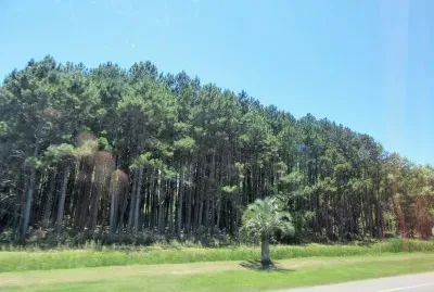 CampiÃ±a de Uruguay.