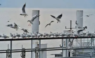 פאזל של Lake Como