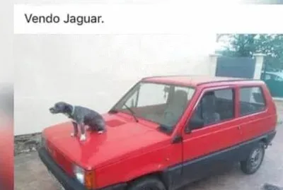 פאזל של jaguar