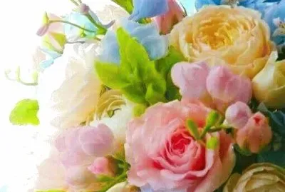 roses