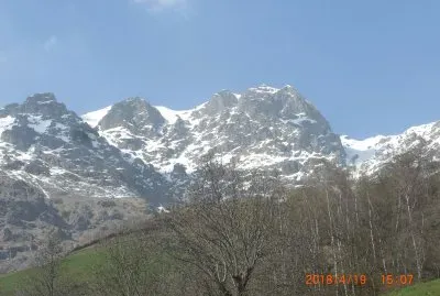 TRACCIOLINO