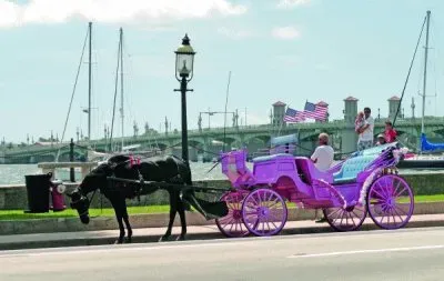 פאזל של Vintage Carriage-St Augustine, FL