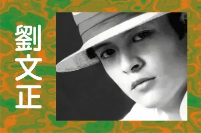 פאזל של Taiwan Superstar Liu Wenzheng