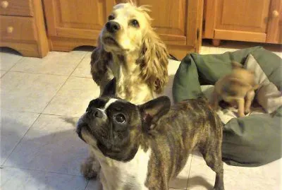 mis tres tesoros