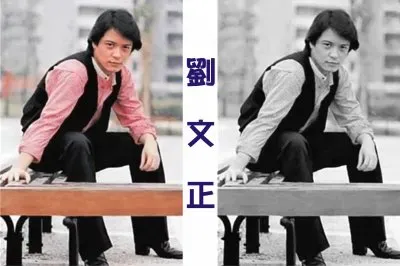 Taiwan Superstar Liu Wenzheng jigsaw puzzle