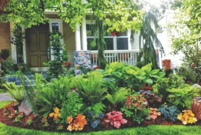 House with wonderful garden