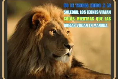 LEON
