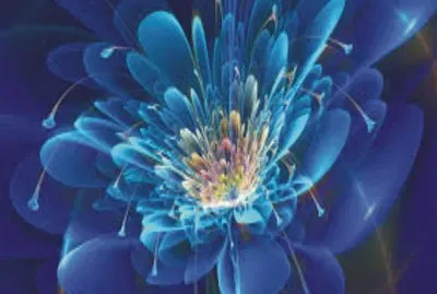 Blue flower