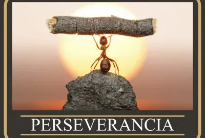 פאזל של PERSEVERANCIA