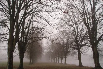 brume Ã  la FertÃ©-Vidame
