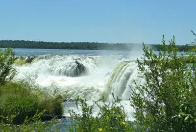 Argentine Iguazu