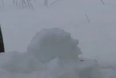 Looks like snowman taking a rest - profile shot
