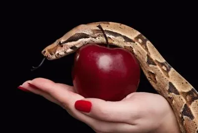 manzana prohibida
