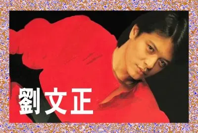 פאזל של å°ç£åŠ‰æ–‡æ­£