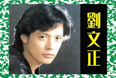 פאזל של å°ç£åŠ‰æ–‡æ­£