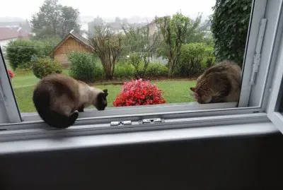 mia et mina pour ema jigsaw puzzle