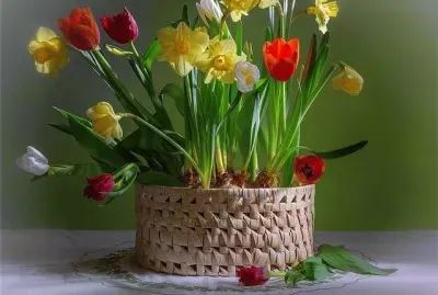 Bunt