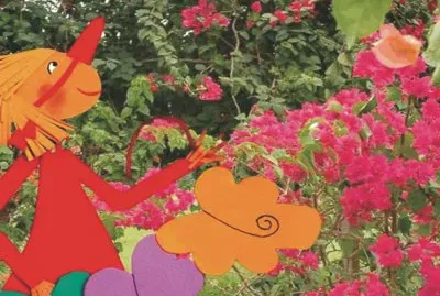 Cindy and Butterflies