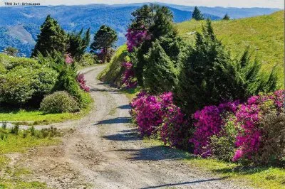 imagem jigsaw puzzle