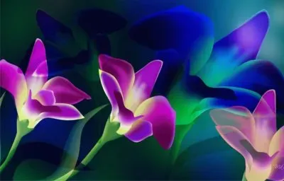 è±”å½© jigsaw puzzle