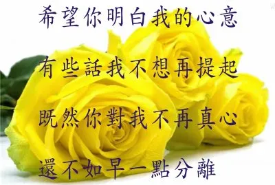 åŠ‰æ–‡æ­£ é»ƒè‰²çš„çŽ«ç‘°